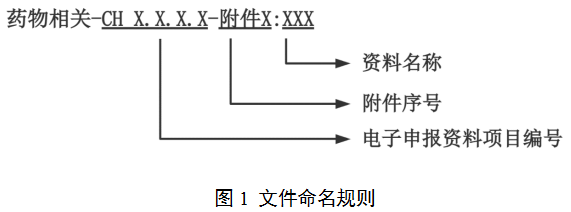 以醫(yī)療器械作用為主的藥械組合產(chǎn)品注冊審查指導原則（2022年第3號）(圖1)