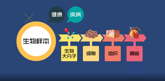 淺談CRC生物樣本管理！生物樣本采集、處理、存儲、運輸全過程注意事項